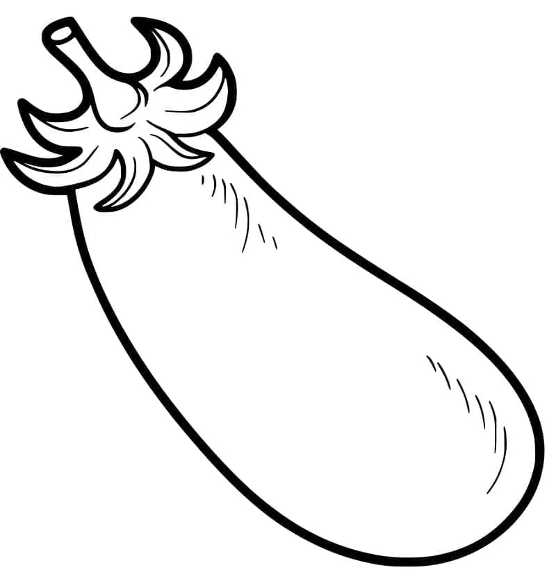 Aubergine 8