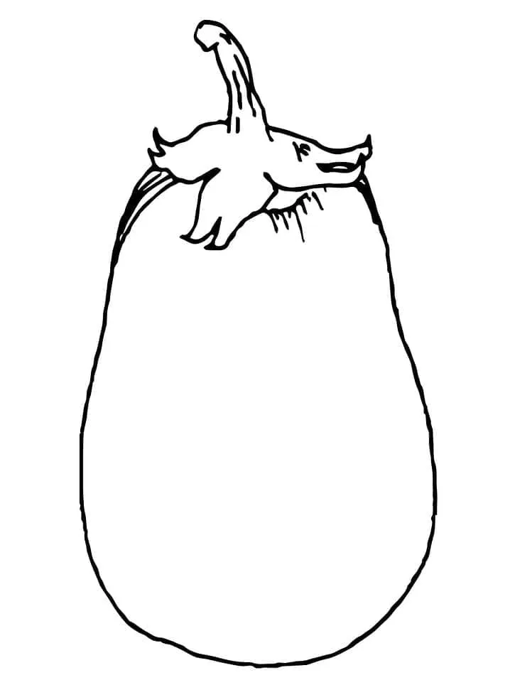 Aubergine 11