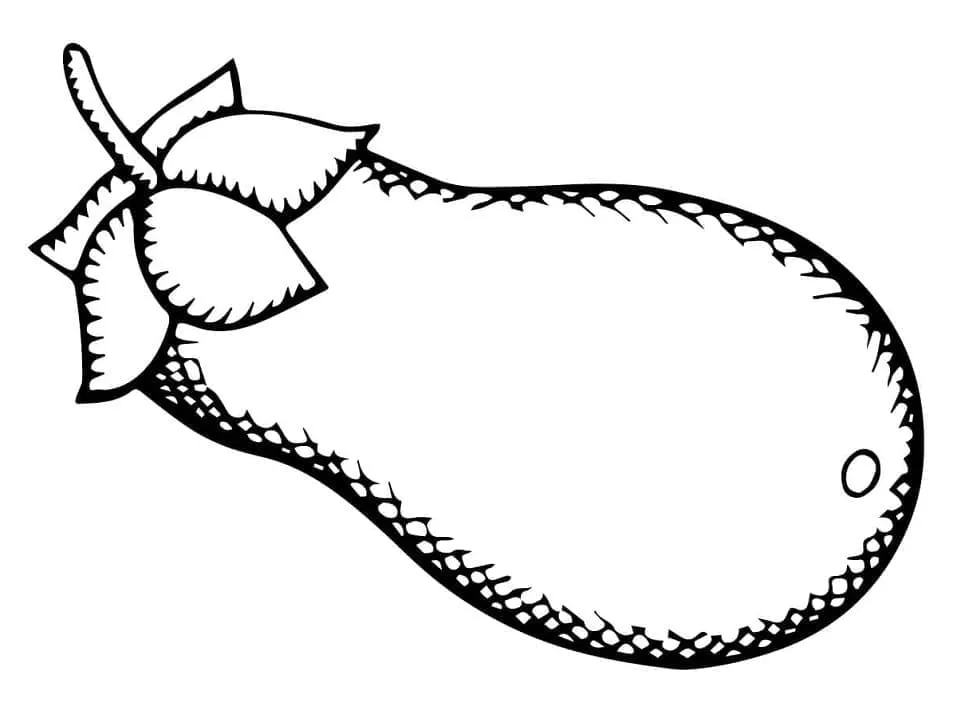Aubergine 12