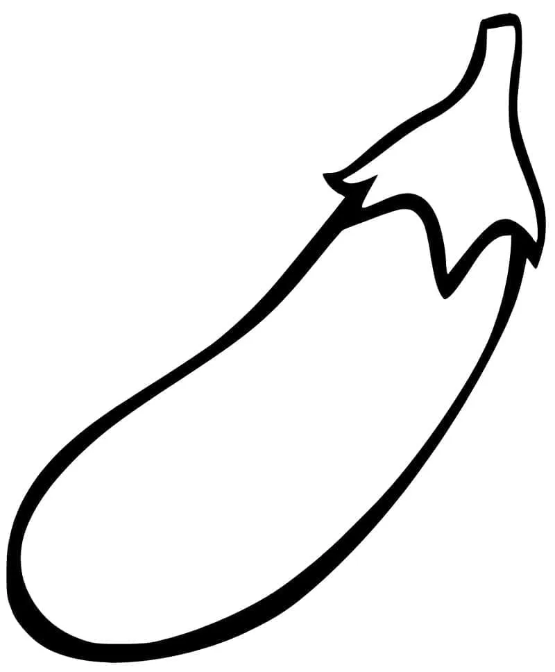 Aubergine 17