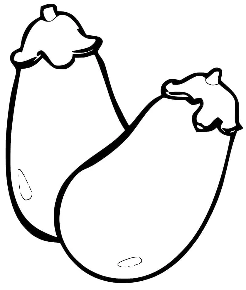 Aubergine 18