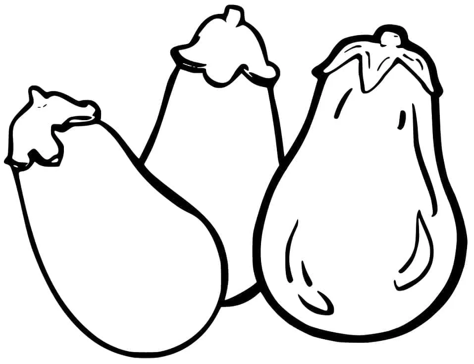 Aubergine 24