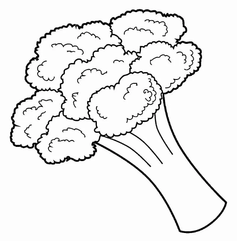 Brocoli 9