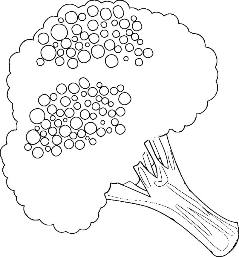 Brocoli 14