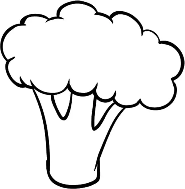Brocoli 16