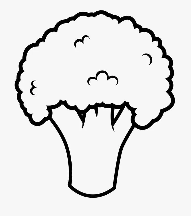 Brocoli 18