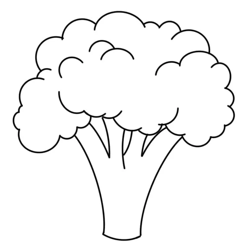 Brocoli 19