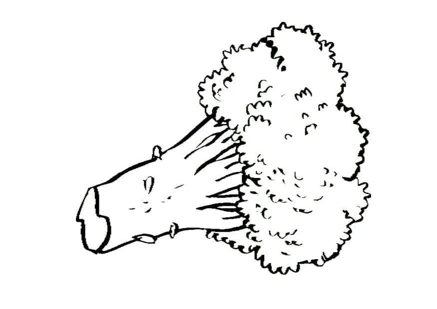 Brocoli 22
