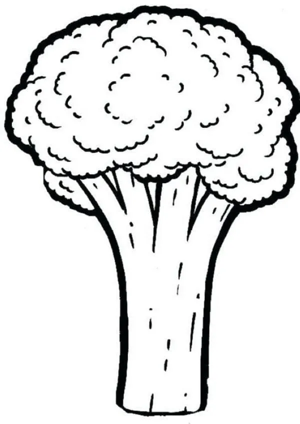 Brocoli 23
