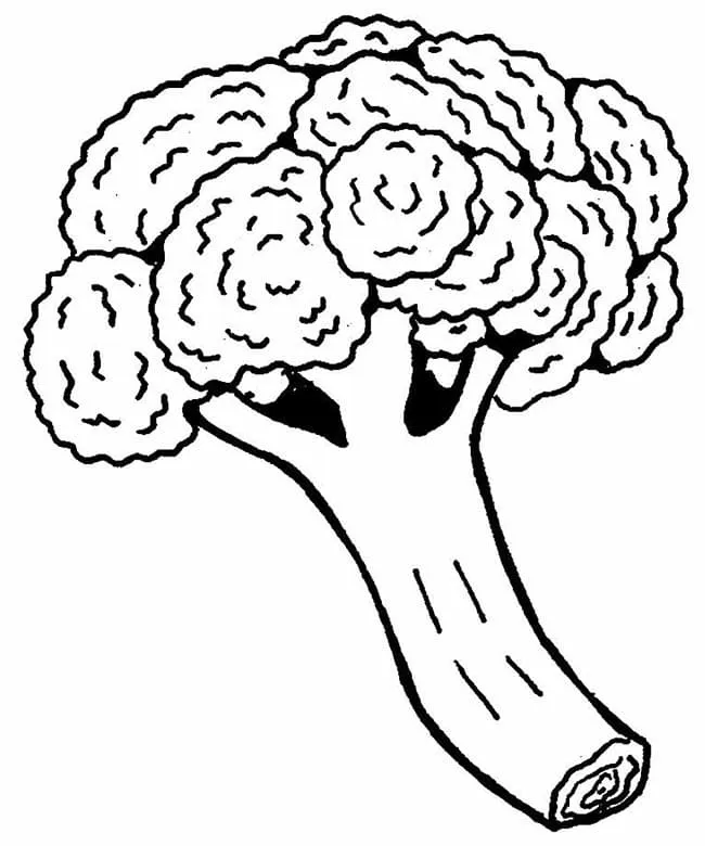 Brocoli 27