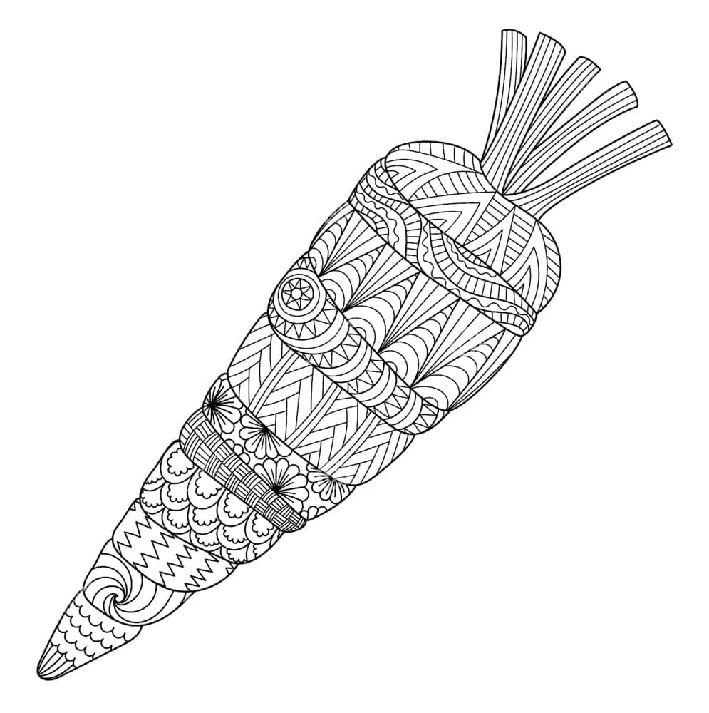 Carotte 29