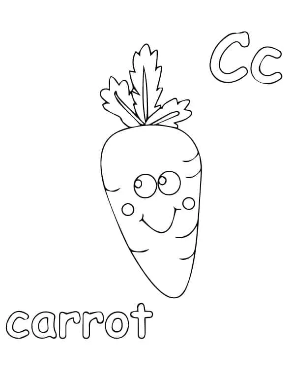 Carotte 37