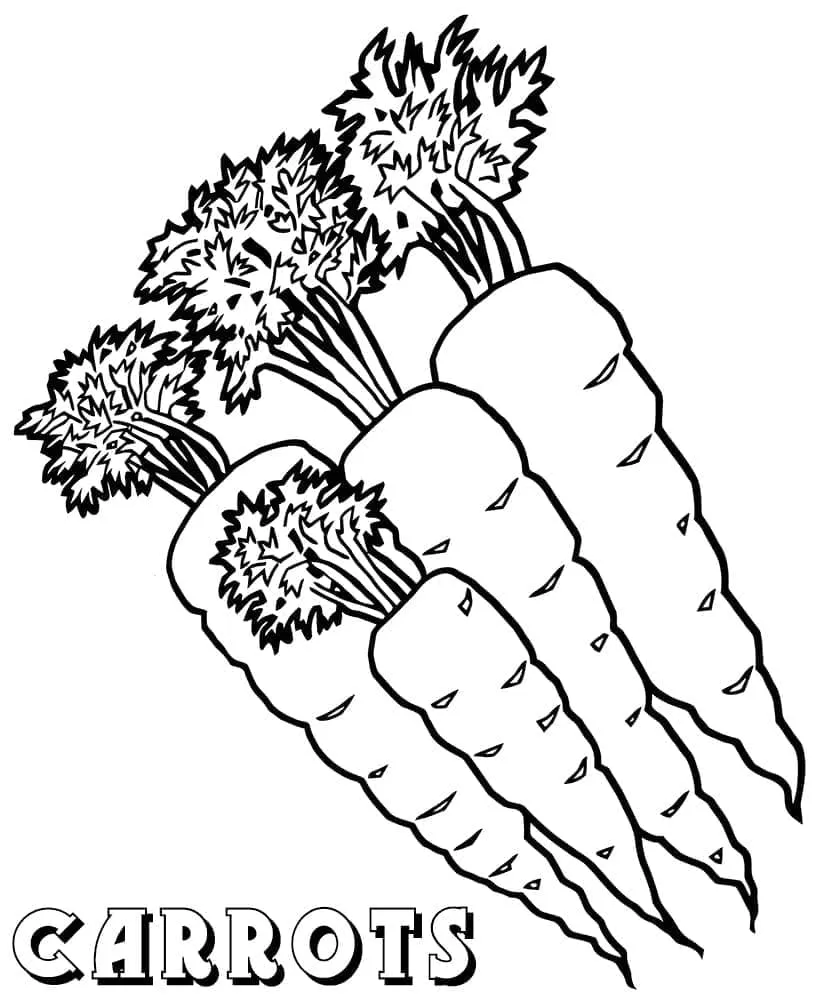 Carotte 39