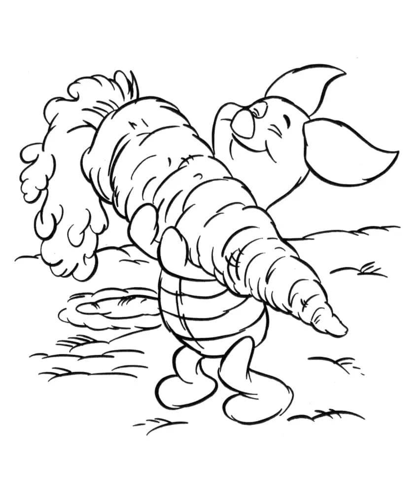 Carotte 55