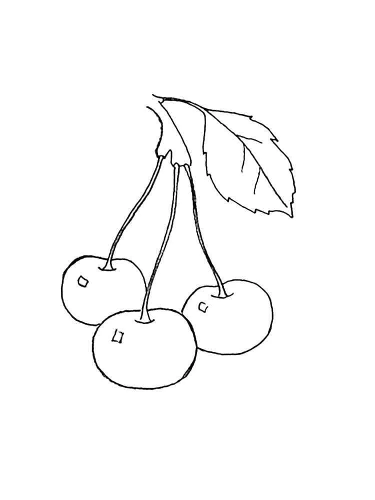 Cerise 5