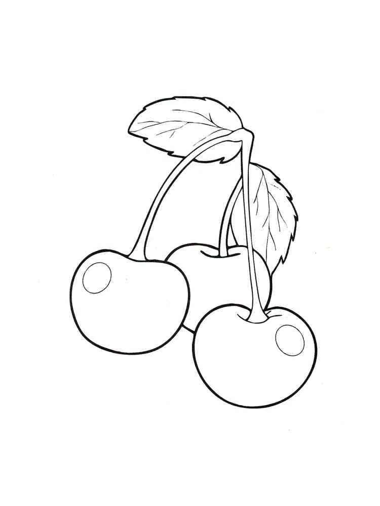 Cerise 9