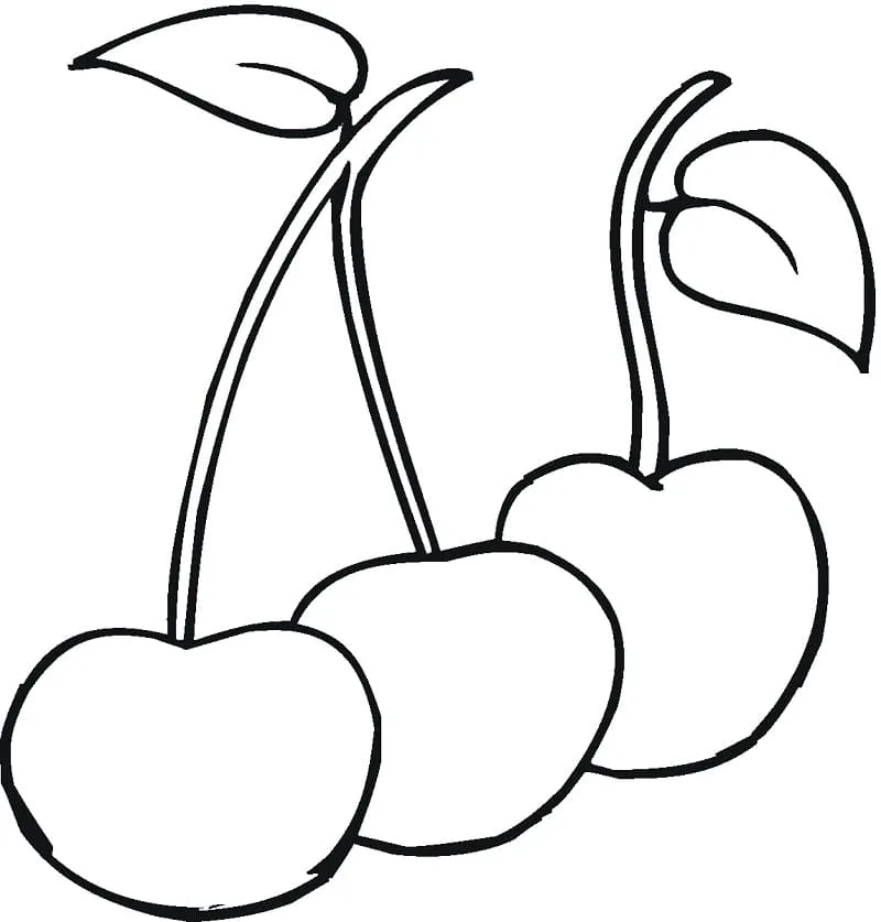 Cerise 24