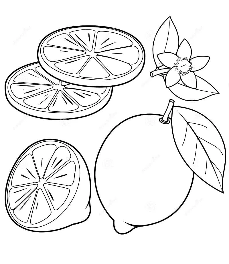 Citron 13