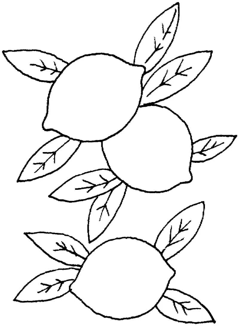 Citron 17