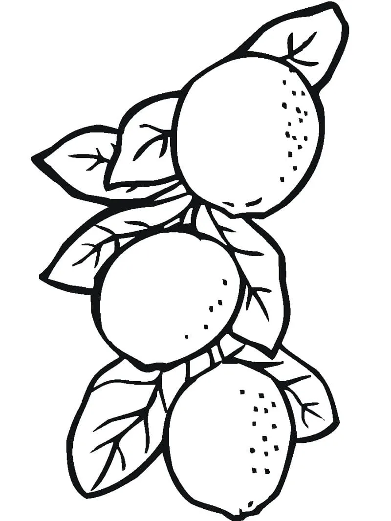 Citron 21