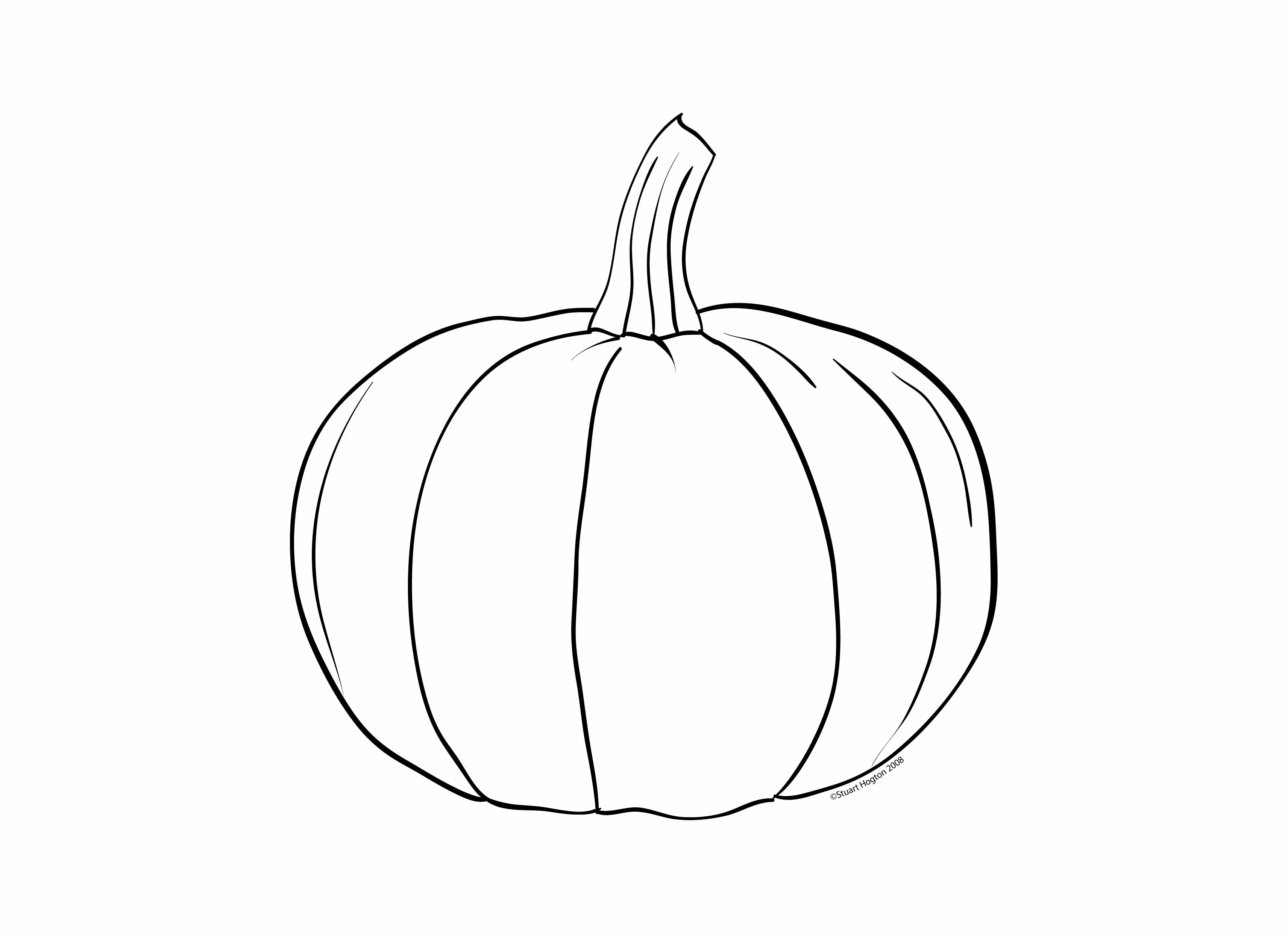 Citrouille 2