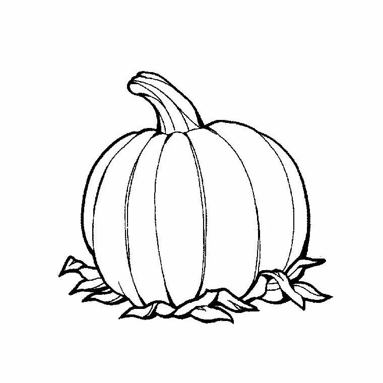Citrouille 8