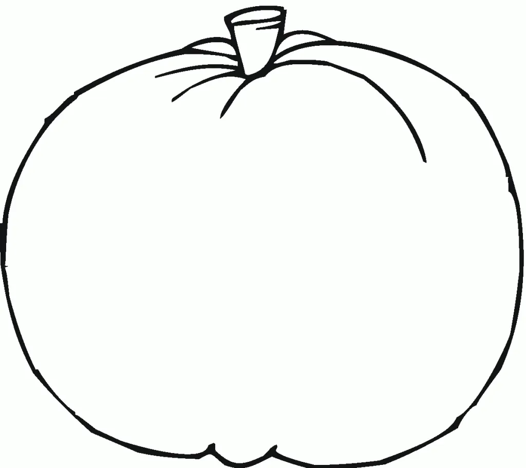 Citrouille 11