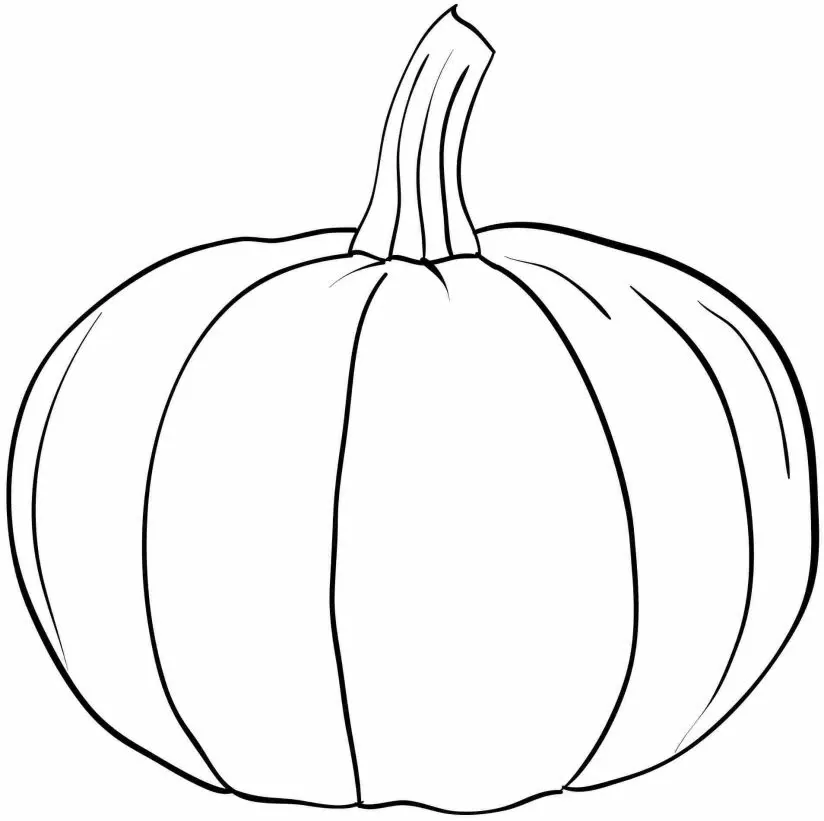 Citrouille 12