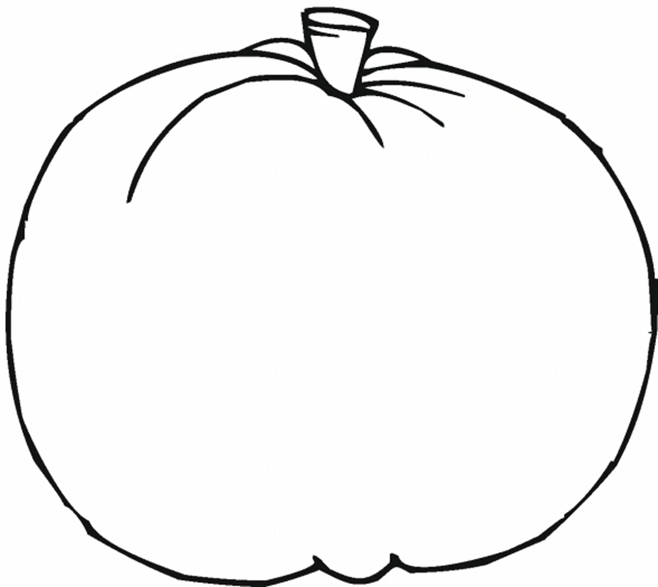 Citrouille 16