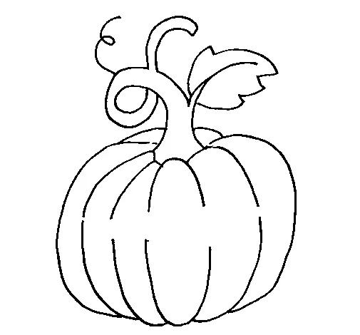 Citrouille 23