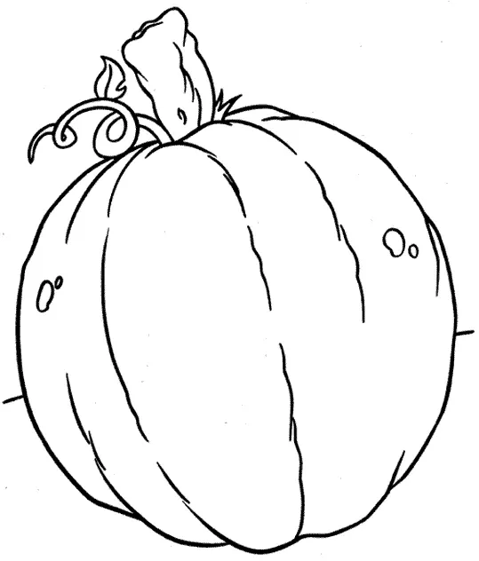 Citrouille 24