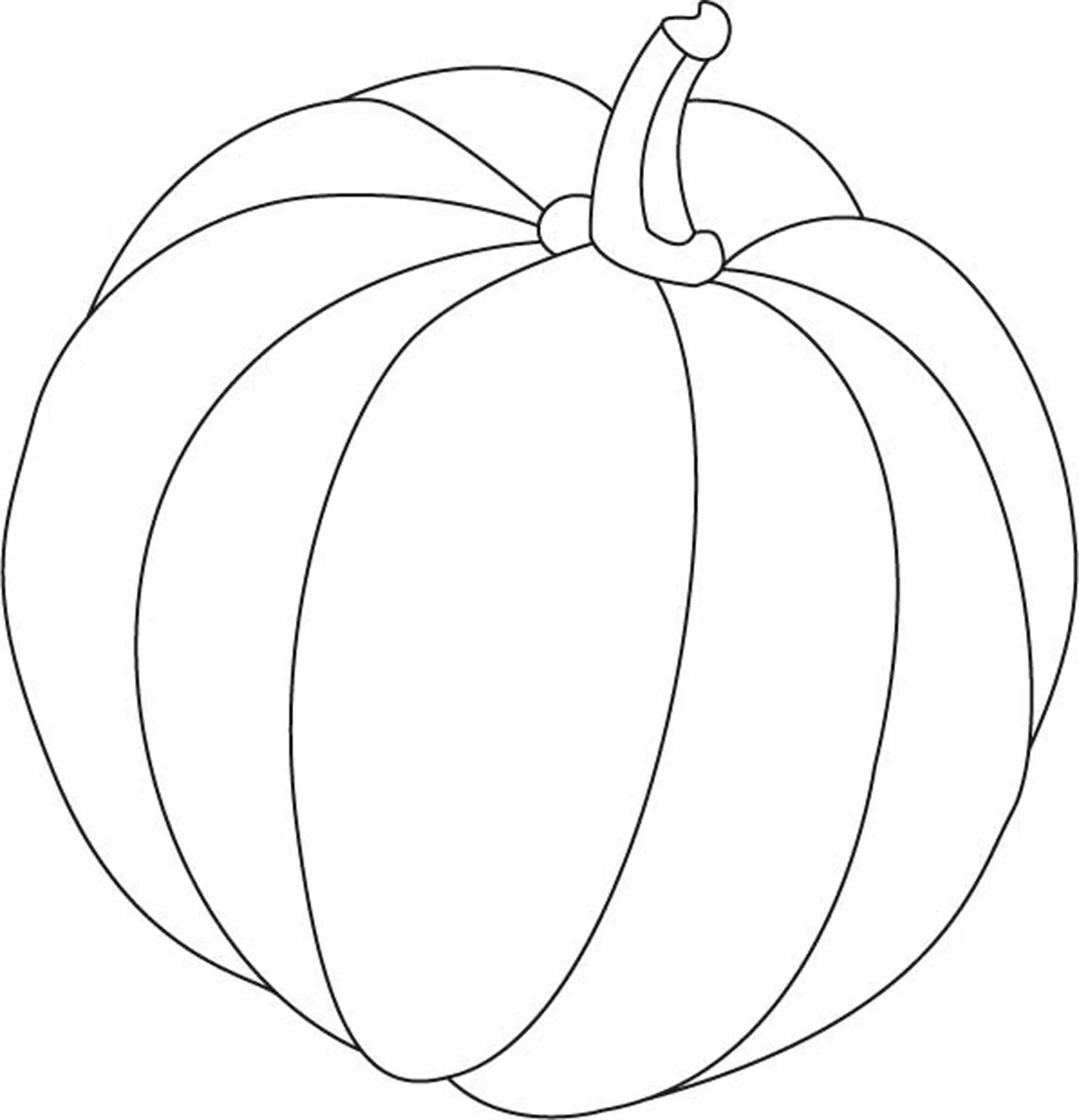 Citrouille 26