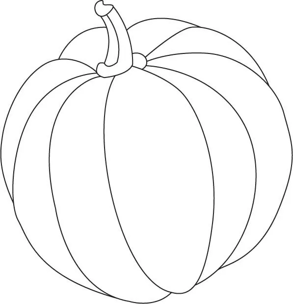 Citrouille 33