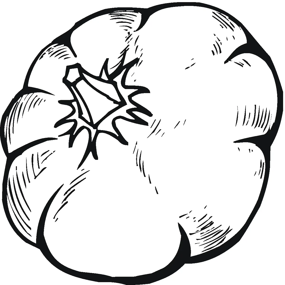 Citrouille 44
