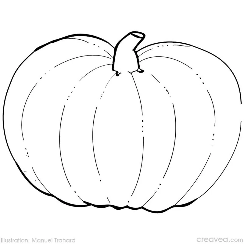 Citrouille 65