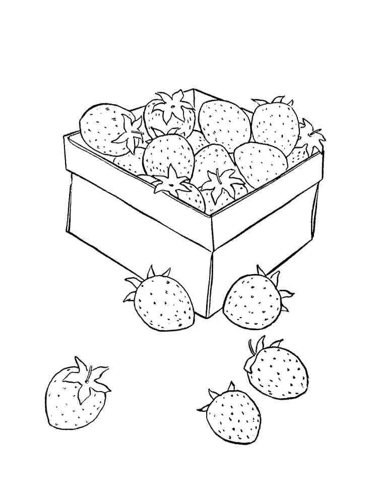 Fraise 8