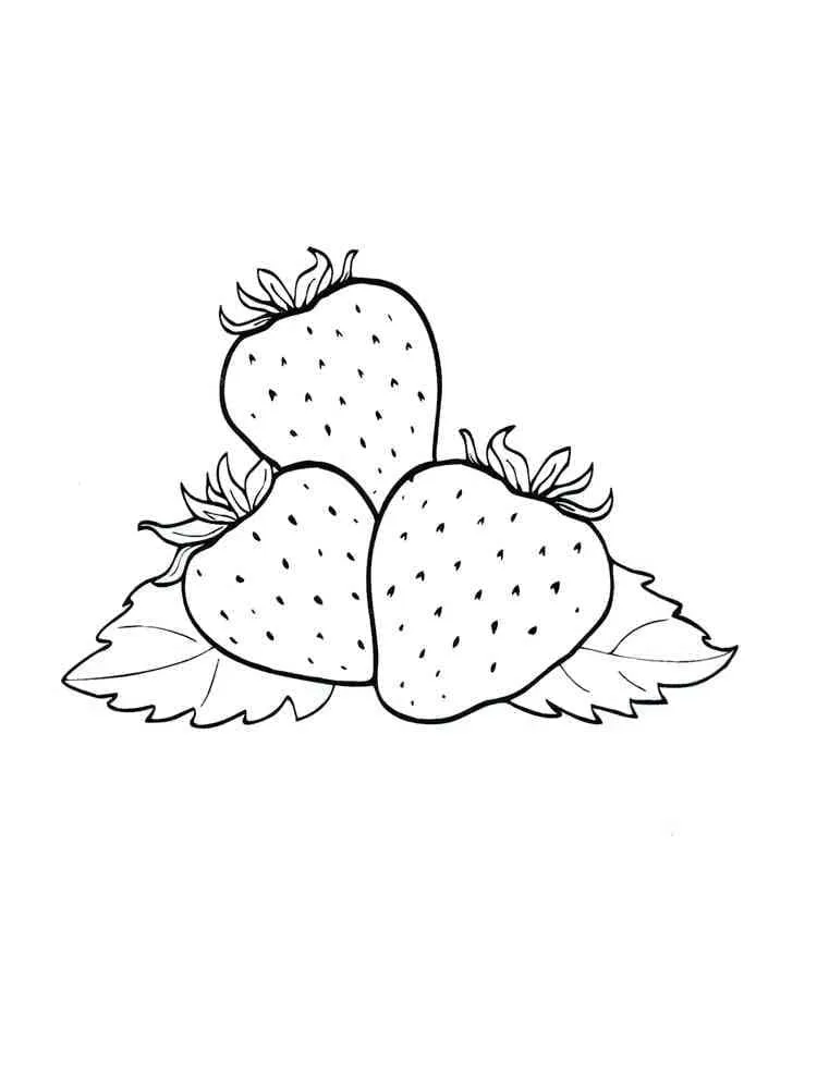 Fraise 11