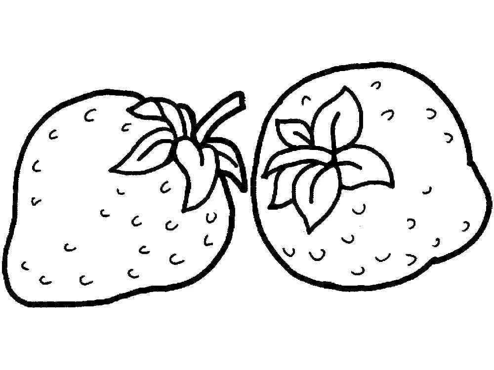 Fraise 15