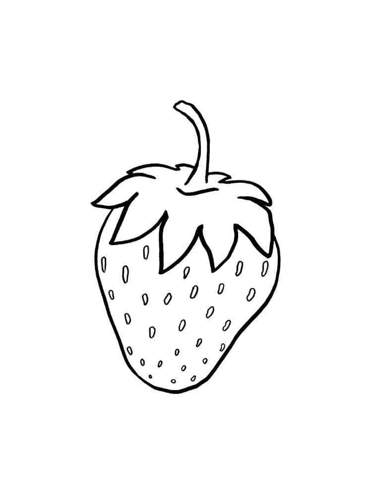 Fraise 17