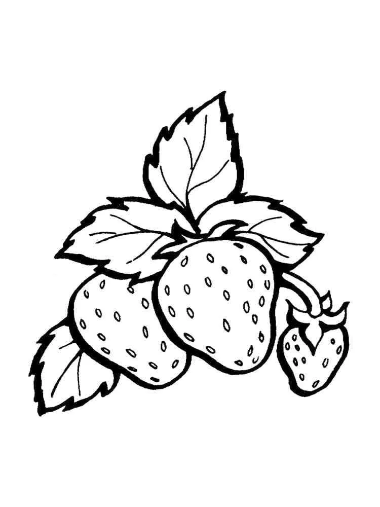 Fraise 25