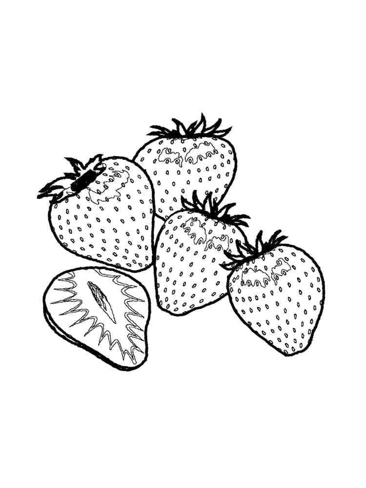Fraise 27
