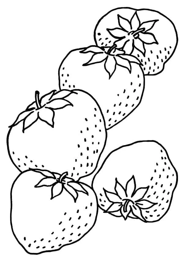 Fraise 28