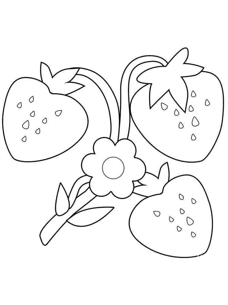Fraise 29