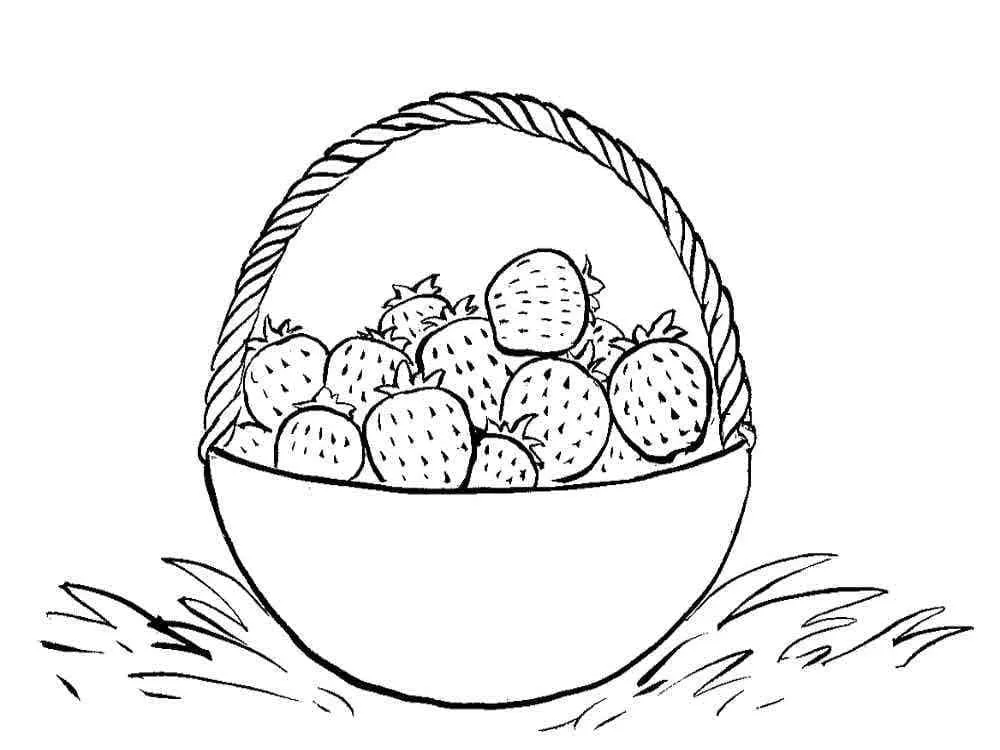 Fraise 32