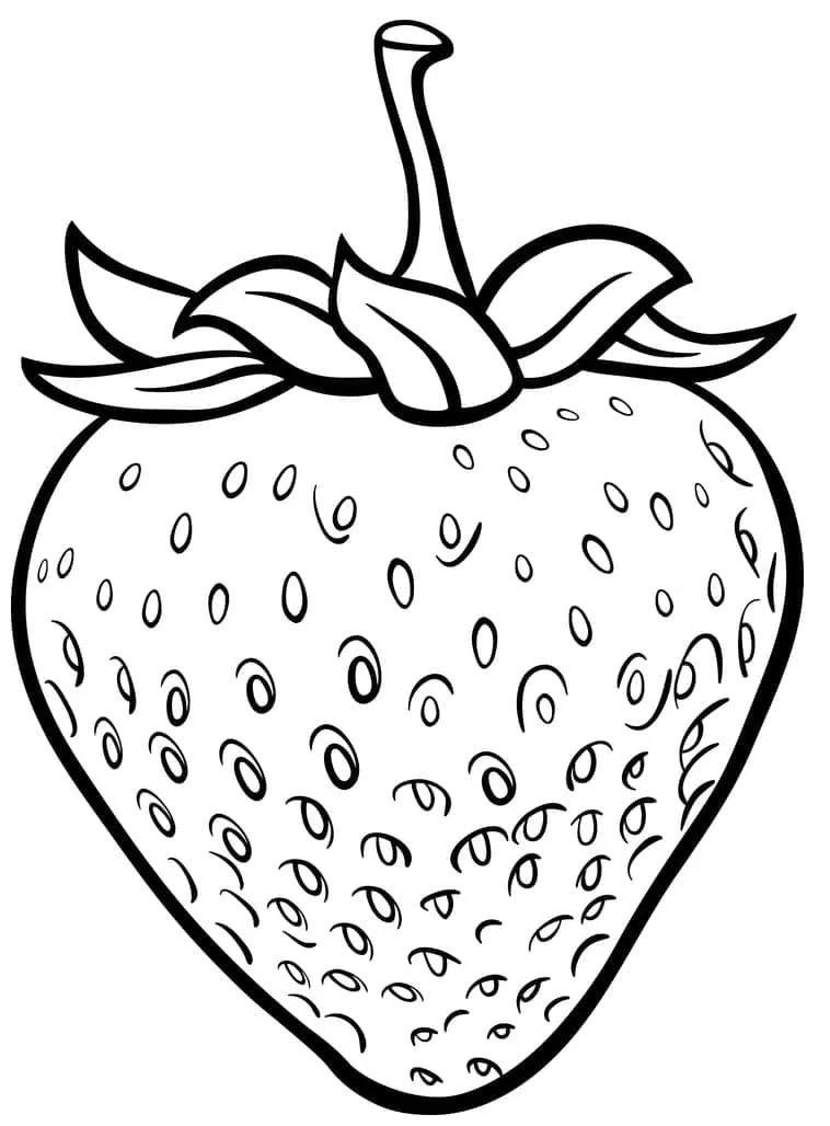 Fraise 36