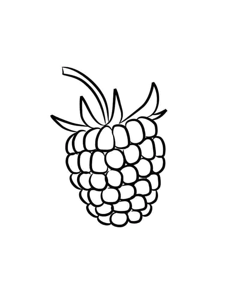 Framboise 5