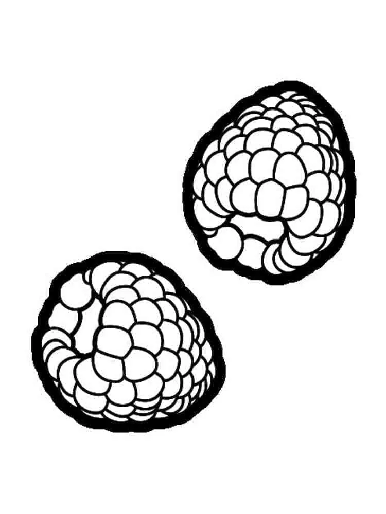 Framboise 7