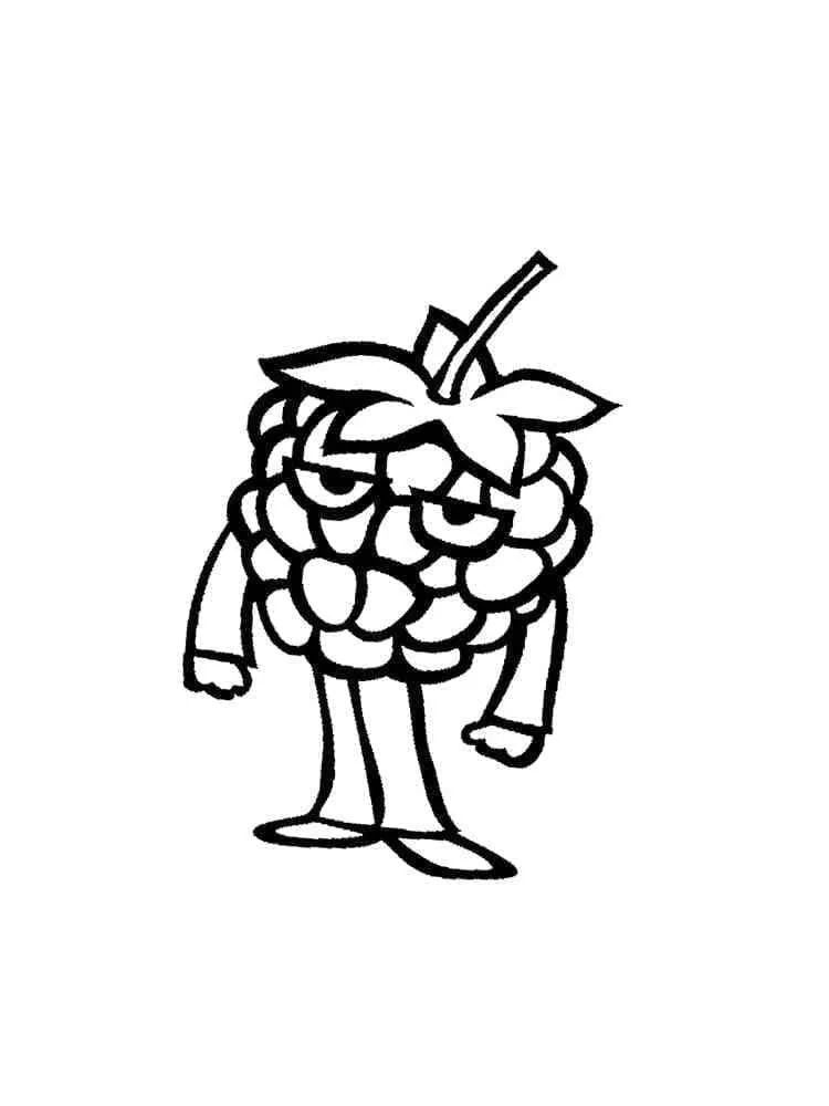 Framboise 8
