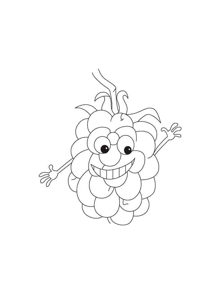 Framboise 9