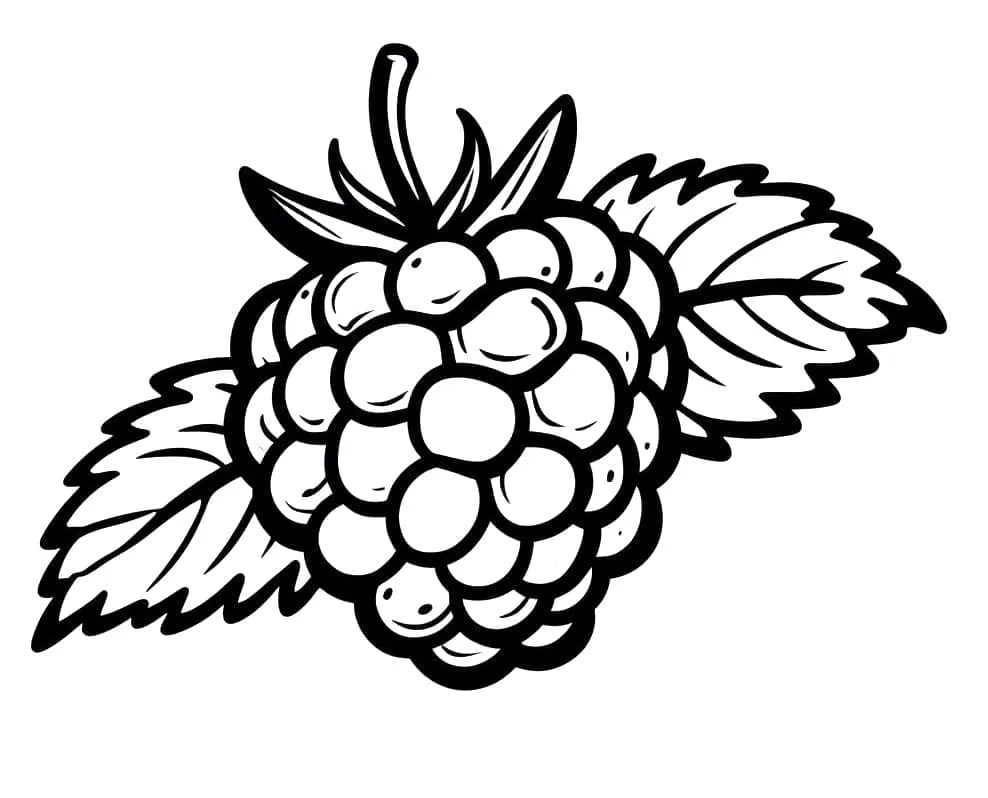 Framboise 10